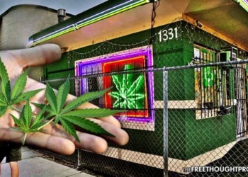 Landmark Study Shows Legal Marijuana Sales Reduce Crime