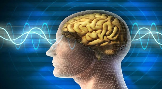 A Case for Mind-Mastery | Bio-Electric Fields and Evidence for Morphogenetic Field (Mind) Governed Biology and Reality — Bioelectricity, Morphology, & Electroceuticals