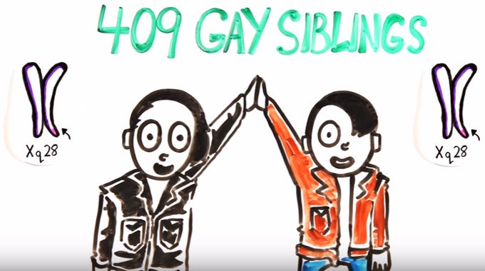 A Scientific Look at Homosexuality: Does Everyone Have a Gay Gene?