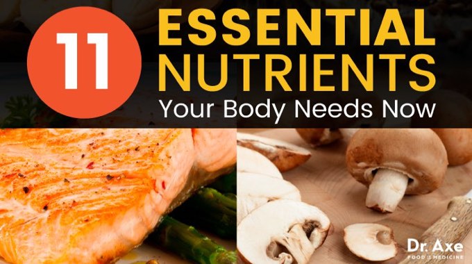 Make Sure Youre Getting These 11 Essential Nutrients Youre Body Needs Them Now Conscious 