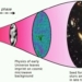 Study Reveals Substantial Evidence That We Live In a Holographic Universe