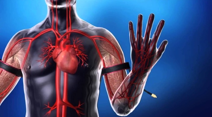 Build Muscle Faster, Safer and Easier With Blood Flow Restriction Training