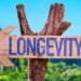 Cultures Around the World Show Us How Life Purpose Fuels Longevity