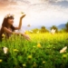 Following the Advice of Ancient Philosophers Can Make You Happier