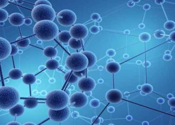 The Simple Organization Structures of Complexity Theory: [VIDEO] Neil Theise