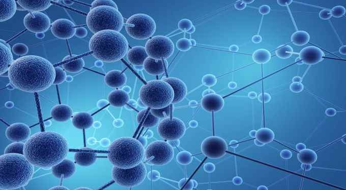 The Simple Organization Structures of Complexity Theory: [VIDEO] Neil Theise