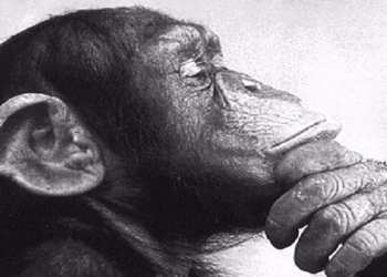 10 Things You’re Not Supposed To Know