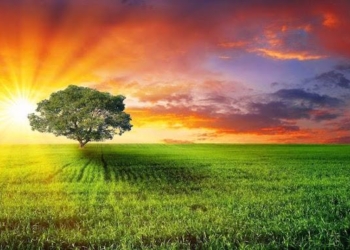 8 Inspiring Steps To Live a Healthier Life And Naturally Avoid Disease