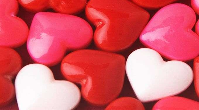 When Love Bites, Don’t Fight Back…Bite Back!