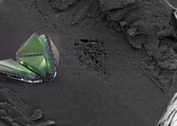 Scientists Create Shape-Shifting, Cell-Sized Robot That Could Change the World