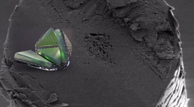 Scientists Create Shape-Shifting, Cell-Sized Robot That Could Change the World