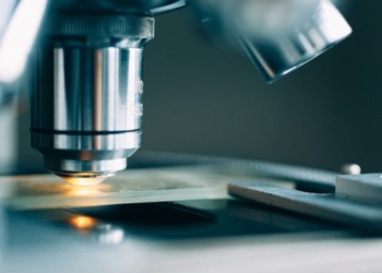 Robotic Implants Spur Tissue Regeneration Inside the Body