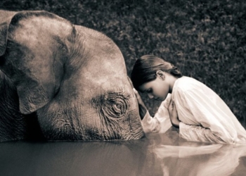 The Incredible Power of Humility