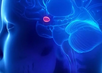 Third Eye Pineal Gland: The Biggest Cover Up in Human History