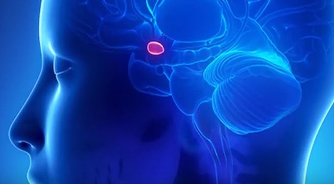 Third Eye Pineal Gland: The Biggest Cover Up in Human History
