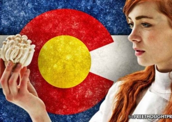 After Legalizing Weed, Colorado Now Taking Steps To Legalize Magic Mushrooms