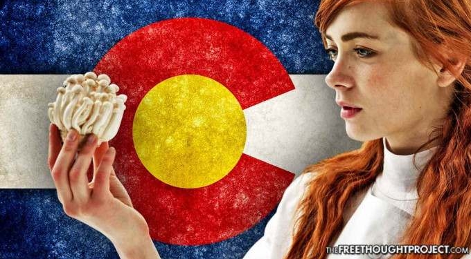 After Legalizing Weed, Colorado Now Taking Steps To Legalize Magic Mushrooms