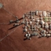 Mars Colony Would Be a Hedge Against World War III, Elon Musk Says