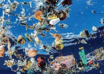 The Amount Of Plastic In Oceans Will Triple by 2025, Says Major Report