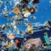 The Amount Of Plastic In Oceans Will Triple by 2025, Says Major Report