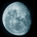 Horoscopes Saturday 24th March 2018