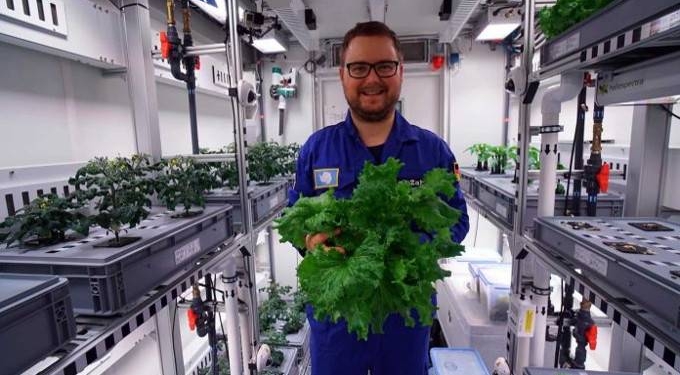 Without Soil or Sunlight, Scientists Harvest First Vegetables in Antarctic Greenhouse
