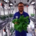 Without Soil or Sunlight, Scientists Harvest First Vegetables in Antarctic Greenhouse