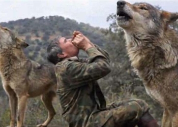 Man Who Was Raised By Wolves For 12 Years Admits He’s Disappointed With Human Life