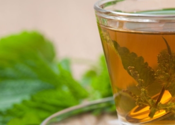 Help Detoxify Your Body With Stinging Nettle