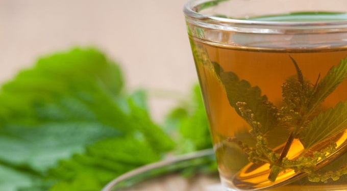 Help Detoxify Your Body With Stinging Nettle