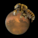 NASA Funds Project to Put Robot Bees on Mars