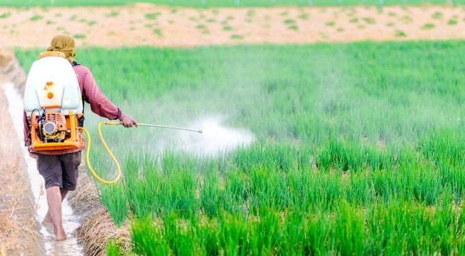 See Which Produce Has the Most Pesticides In EWG’s 2018 Dirty Dozen List