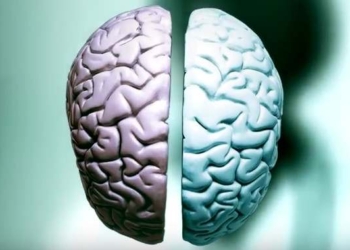 What is Consciousness? What is Its Purpose?