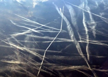What Most People Call “Chemtrails” Could Kill Tens Of Thousands Of People, Says Harvard Professor