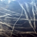 What Most People Call “Chemtrails” Could Kill Tens Of Thousands Of People, Says Harvard Professor