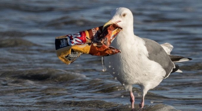 EU Urged to Go Further to Save Trash-Filled Waters With New Proposed Plastics Ban