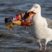 EU Urged to Go Further to Save Trash-Filled Waters With New Proposed Plastics Ban