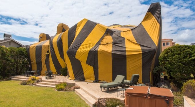 5 Tricks Professionals Don’t Tell You About Getting Pests Out of Your Home