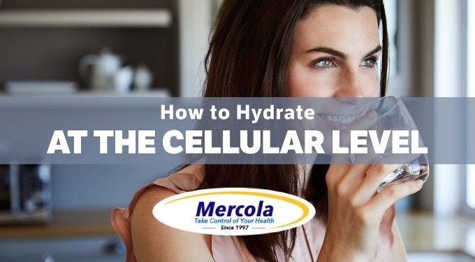 Hydration Is About More Than Just Drinking Water — How to Hydrate at the Cellular Level to Improve Health and Longevity