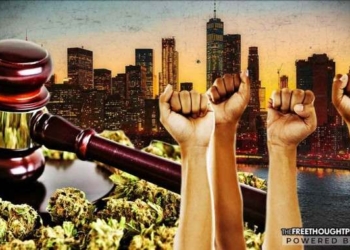 New York District Attorneys Disobey Immoral Law, Now Refusing to Prosecute Marijuana Arrests