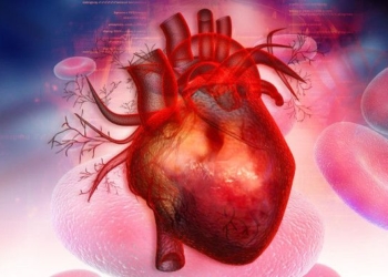 Probiotics May Lower Your Risk of Heart Attack and Stroke