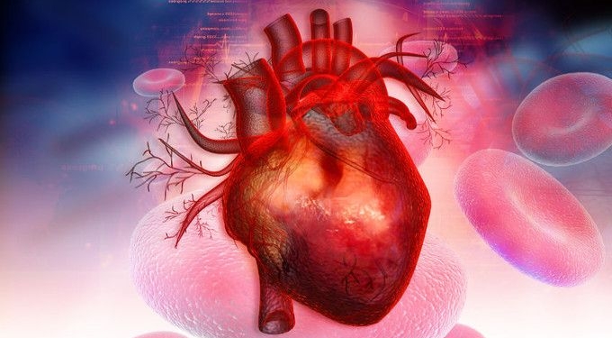 Probiotics May Lower Your Risk of Heart Attack and Stroke