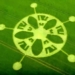 CROP CIRCLE VIDEO: Winterbourne Stoke Down, Stonehenge, Wiltshire Jun.17.2018