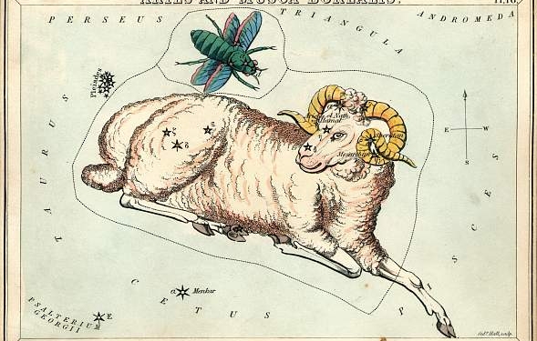 Horoscopes Friday 8th June 2018