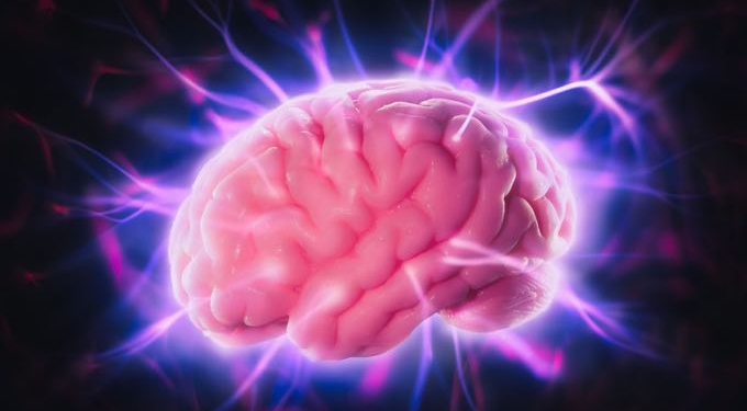 How to Boost Brain Health and Reverse Neurological Disease Without Drugs – Dr. Mercola