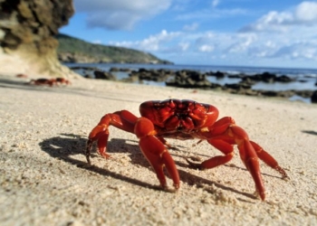 Horoscopes Sunday 24th June 2018