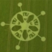 WATCH: June Gave Us Some Truly Remarkable Crop Circles, Here Are The Best Ones!