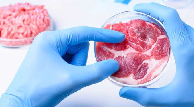 Ditching Nature in Favor of Fake Food Is Not the Solution to Destructive Factory Farming