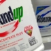 With “Mountainous” Evidence on Plaintiffs’ Side, Hundreds of Cancer Cases Against Monsanto Get Green Light