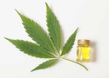 What Doctors Say Are CBD Benefits Have Been Observed In Actual People, Not Mice